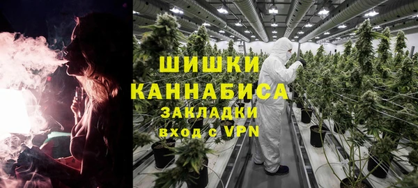 ГАЛЛЮЦИНОГЕННЫЕ ГРИБЫ Арсеньев