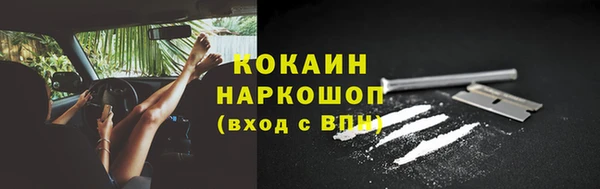 ГАЛЛЮЦИНОГЕННЫЕ ГРИБЫ Арсеньев