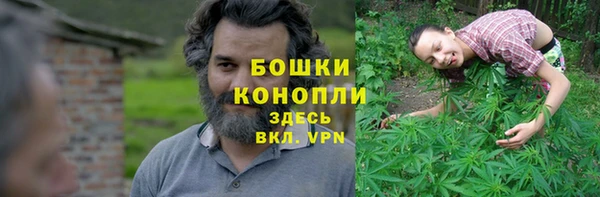 ГАЛЛЮЦИНОГЕННЫЕ ГРИБЫ Арсеньев