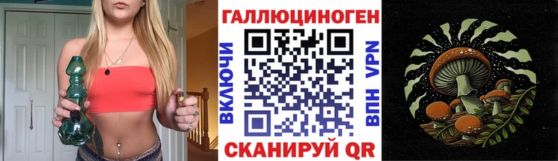 Псилоцибиновые грибы Cubensis  Няндома 