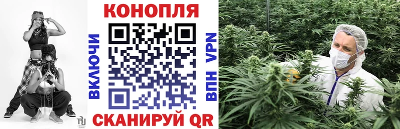 Бошки Шишки OG Kush  блэк спрут tor  Няндома 